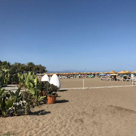 Amazing Next The Beach Of